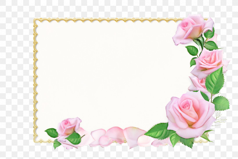 Garden Roses, PNG, 1000x667px, Garden Roses, Floral Design, Flower, Invitation, Mirror Download Free