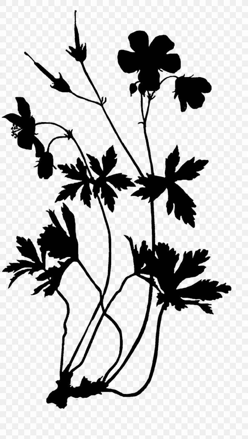 Twig Leaf Plant Stem Design Pattern, PNG, 903x1600px, Twig, Blackandwhite, Botany, Branch, Floral Design Download Free