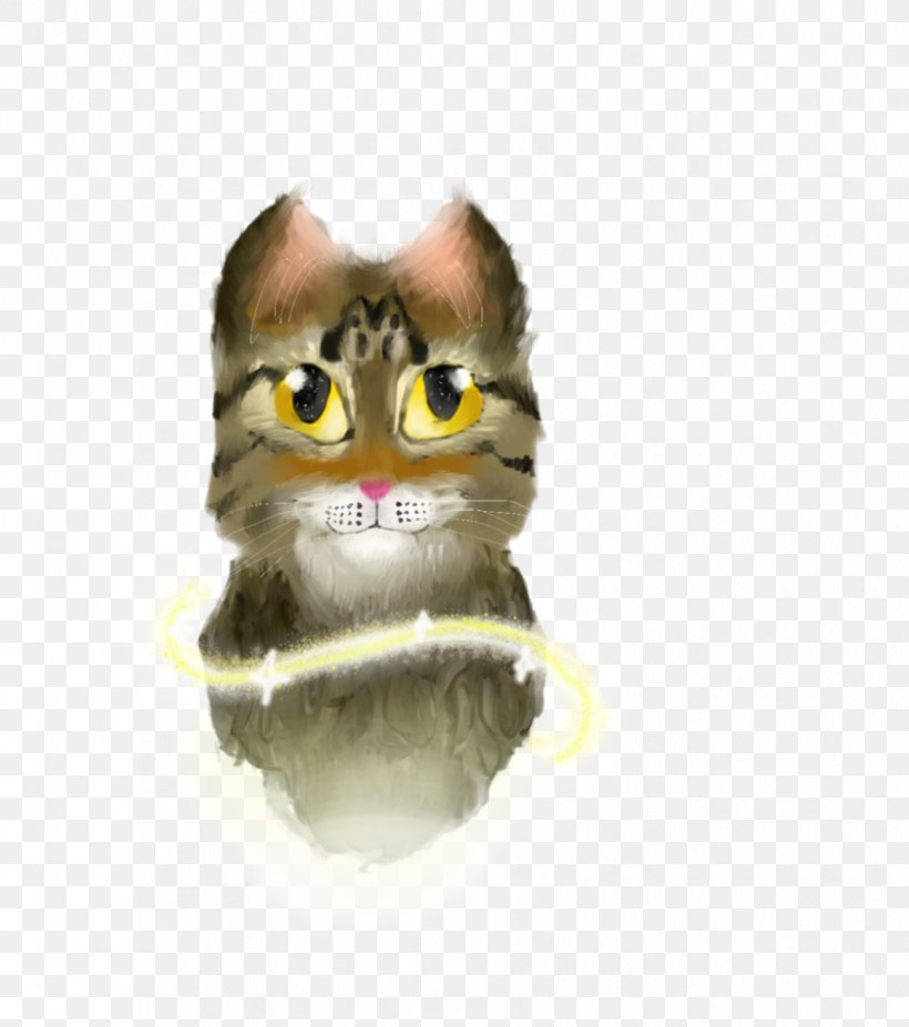 Whiskers Kitten Snout, PNG, 841x951px, Whiskers, Carnivoran, Cat, Cat Like Mammal, Face Download Free