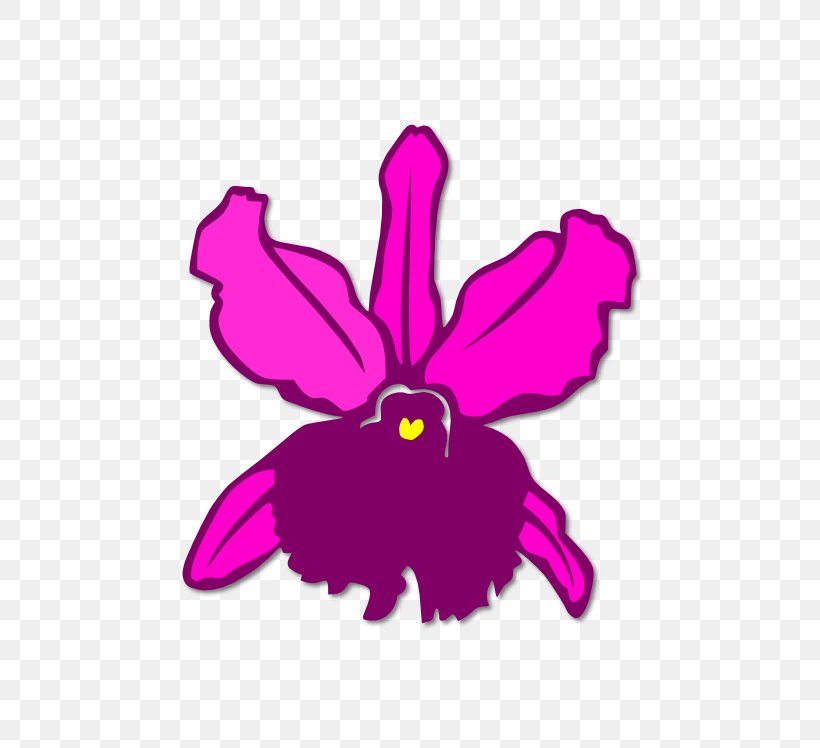 Flowering Plant Violet Purple Magenta Lilac, PNG, 681x748px, Flowering Plant, Cartoon, Cattleya, Flora, Flower Download Free