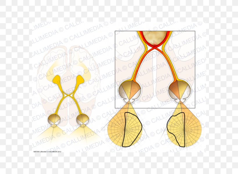 Line Clip Art, PNG, 600x600px, Yellow, Diagram, Text Download Free