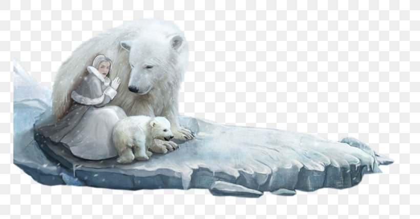 Polar Bear Arctic Clip Art, PNG, 800x428px, Polar Bear, Animal, Arctic, Bear, Carnivoran Download Free