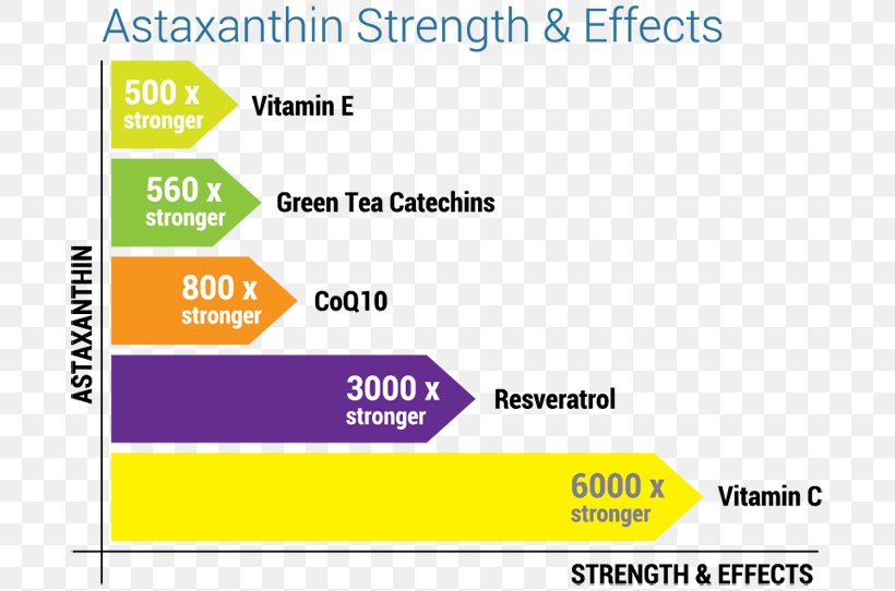 Antioxidant Astaxanthin Resveratrol Tupperware Brands Web Page, PNG, 700x542px, Antioxidant, Area, Astaxanthin, Brand, Cell Download Free