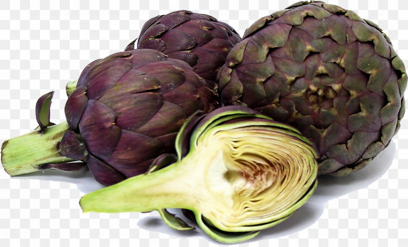 Artichoke Carciofi Alla Giudia Vegetable Fruit, PNG, 872x529px, Artichoke, Auglis, Carciofi Alla Giudia, Common Guava, Cynara Download Free