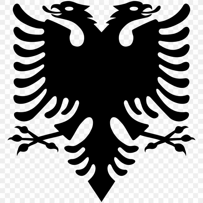 Flag Of Albania T-shirt Double-headed Eagle, PNG, 2000x2000px, Albania, Albanian, Beak, Bird, Black And White Download Free