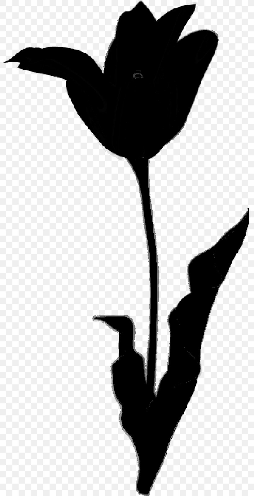 Flower Bird Clip Art Plant Stem Leaf, PNG, 800x1600px, Flower, Beak, Bird, Blackandwhite, Flowering Plant Download Free