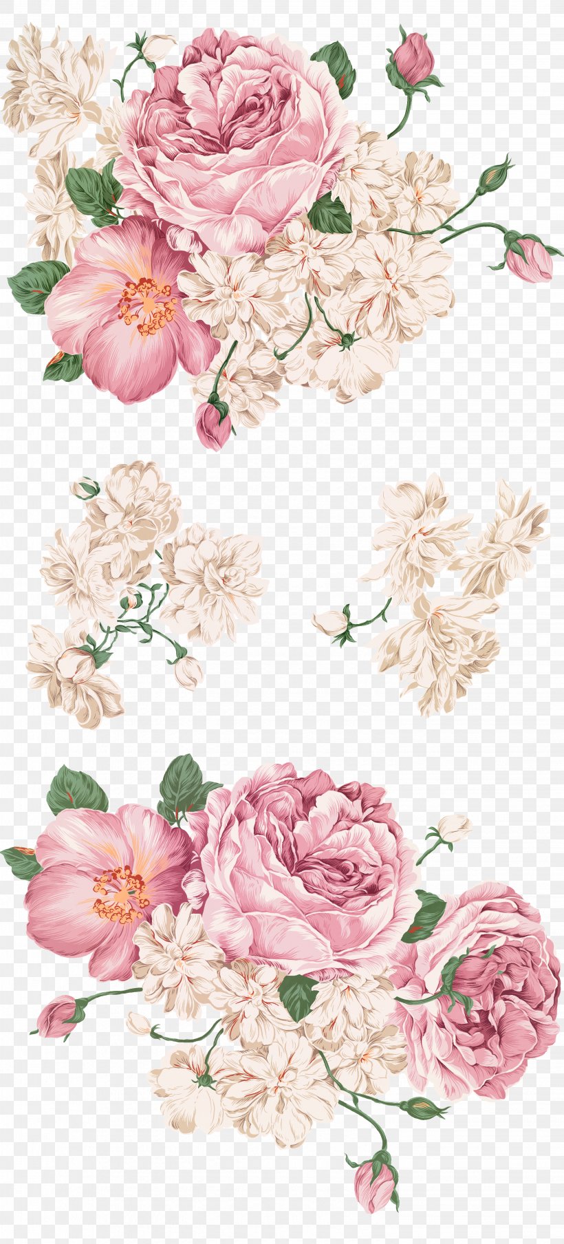 Peony Drawing Painting, PNG, 2881x6353px, Peony, Artificial Flower, Blossom, Cut Flowers, Dahlia Download Free