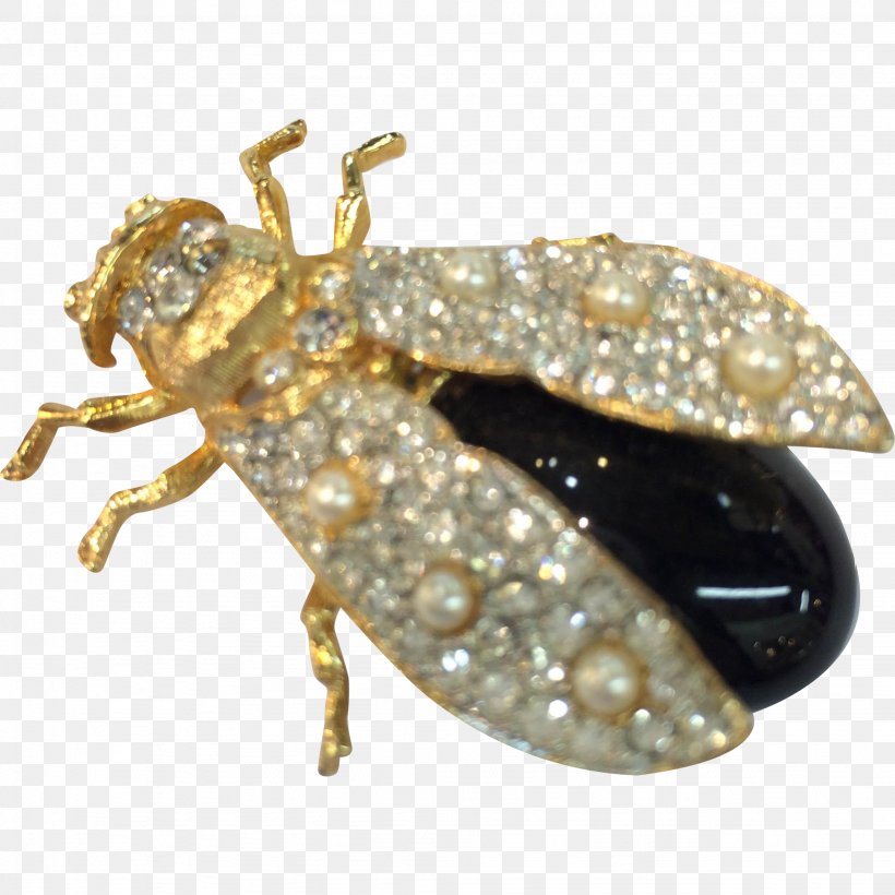 Weevil Insect Brooch True Bugs, PNG, 2048x2048px, Weevil, Arthropod, Beetle, Brooch, Insect Download Free