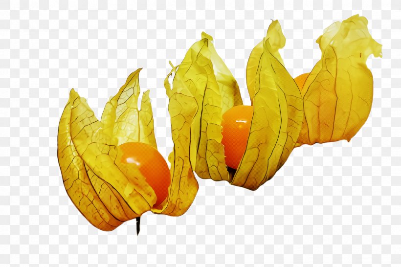 Yellow Peruvian Groundcherry Leaf Plant Starfruit Plant, PNG, 2448x1632px, Yellow, Food, Fruit, Gooseberry, Leaf Download Free