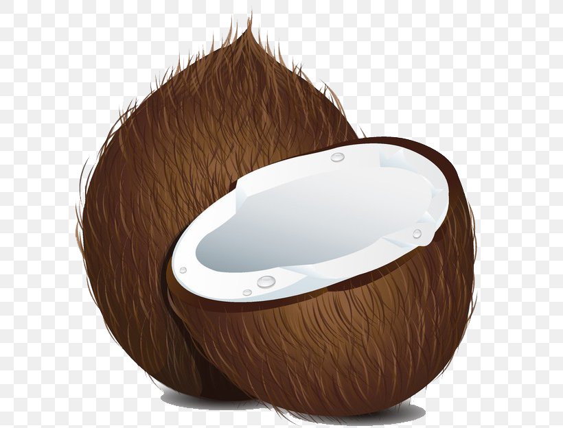 Coconut Royalty-free Clip Art, PNG, 600x624px, Coconut, Bathtub, Can Stock Photo, Drawing, Fotosearch Download Free