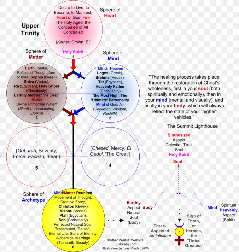 Diagram Line, PNG, 935x984px, Diagram, Area, Text Download Free