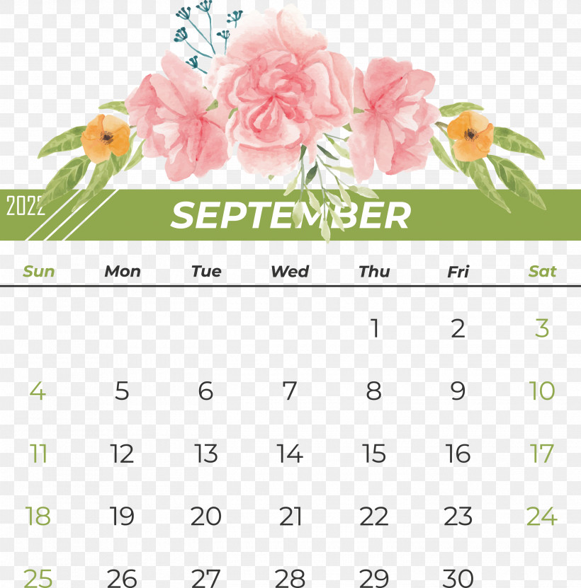 Flower Futsal Font Calendar Petal, PNG, 2900x2940px, Flower, Biology, Calendar, Futsal, Meter Download Free