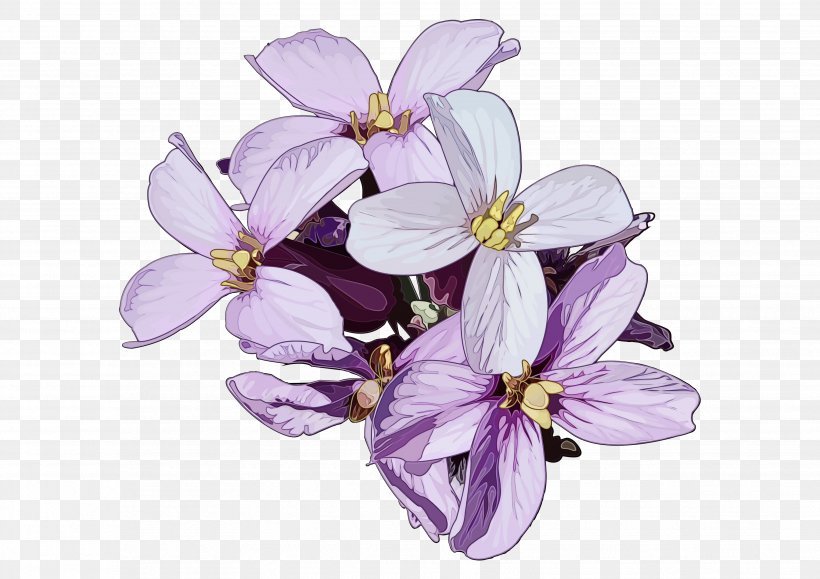Lavender, PNG, 3508x2480px, Watercolor, Cut Flowers, Flower, Flowering Plant, Lavender Download Free
