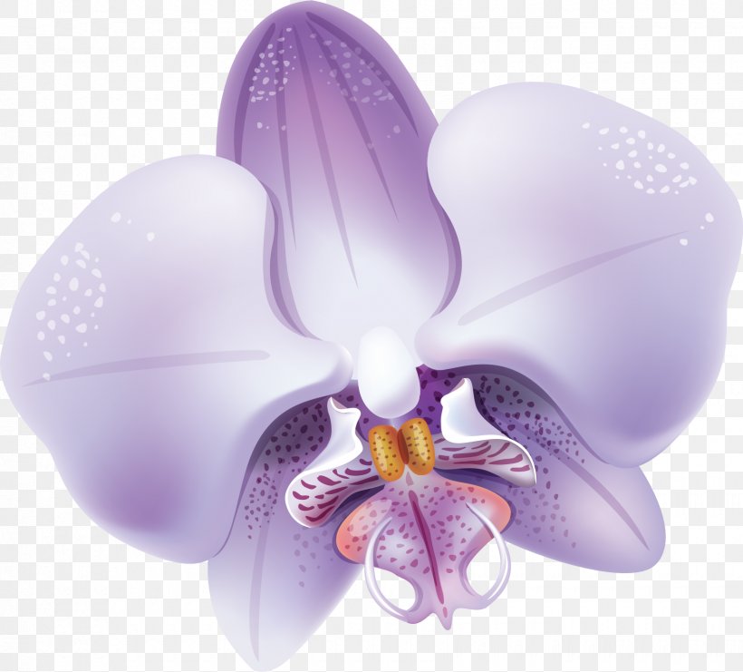 Moth Orchids Flower Violet Clip Art, PNG, 1700x1537px, Orchids, Flower, Flowering Plant, Lilac, Moth Orchid Download Free