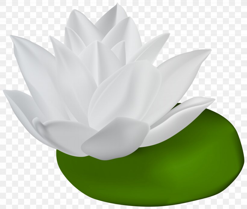 Water Lilies Clip Art, PNG, 8000x6774px, Nymphaea Alba, Egyptian Lotus, Flower, Green, Leaf Download Free