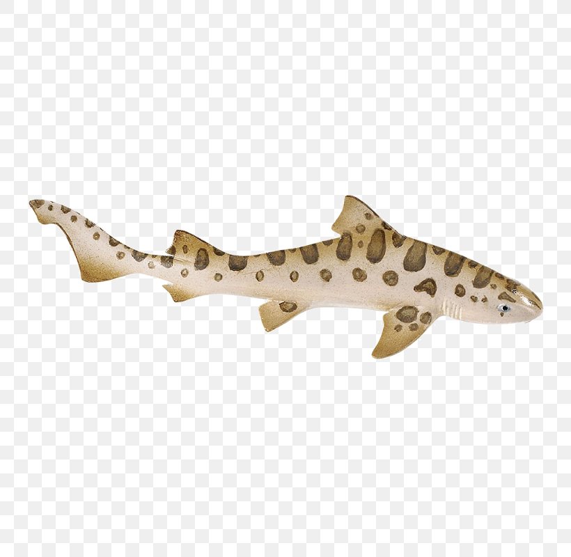 Cartilaginous Fishes Leopard Shark Leopard Shark Safari Ltd, PNG, 800x800px, Cartilaginous Fishes, Animal Figurine, Blacktip Reef Shark, Blacktip Shark, Caribbean Reef Shark Download Free