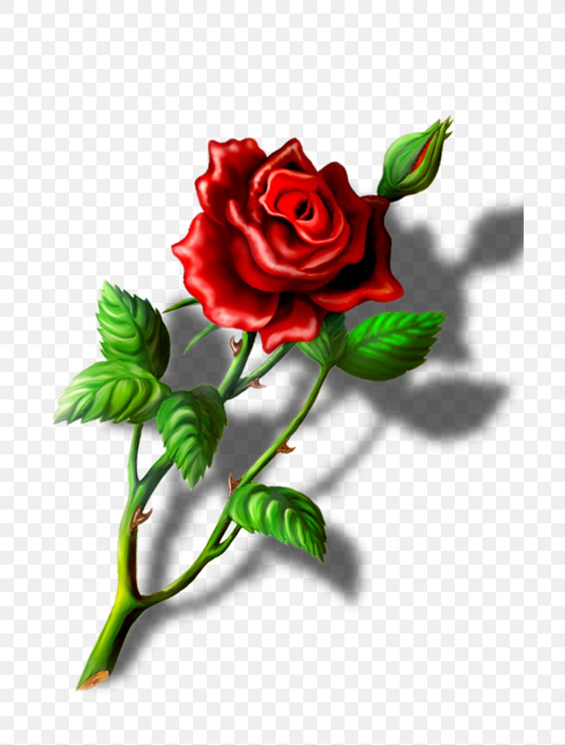 Garden Roses Cabbage Rose Floral Design Cut Flowers, PNG, 700x1082px, Garden Roses, Cabbage Rose, Cut Flowers, Flora, Floral Design Download Free