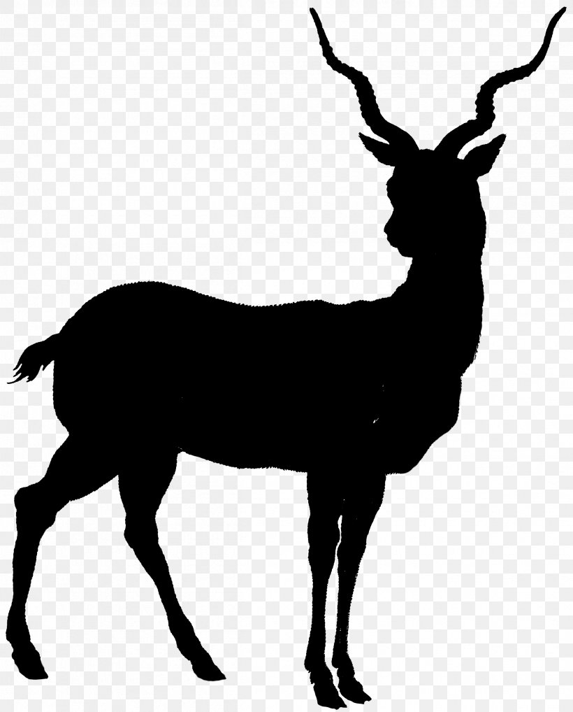 Royalty-free Illustration Image Photograph Deer, PNG, 2415x3000px, Royaltyfree, Antelope, Can Stock Photo, Chamois, Cowgoat Family Download Free