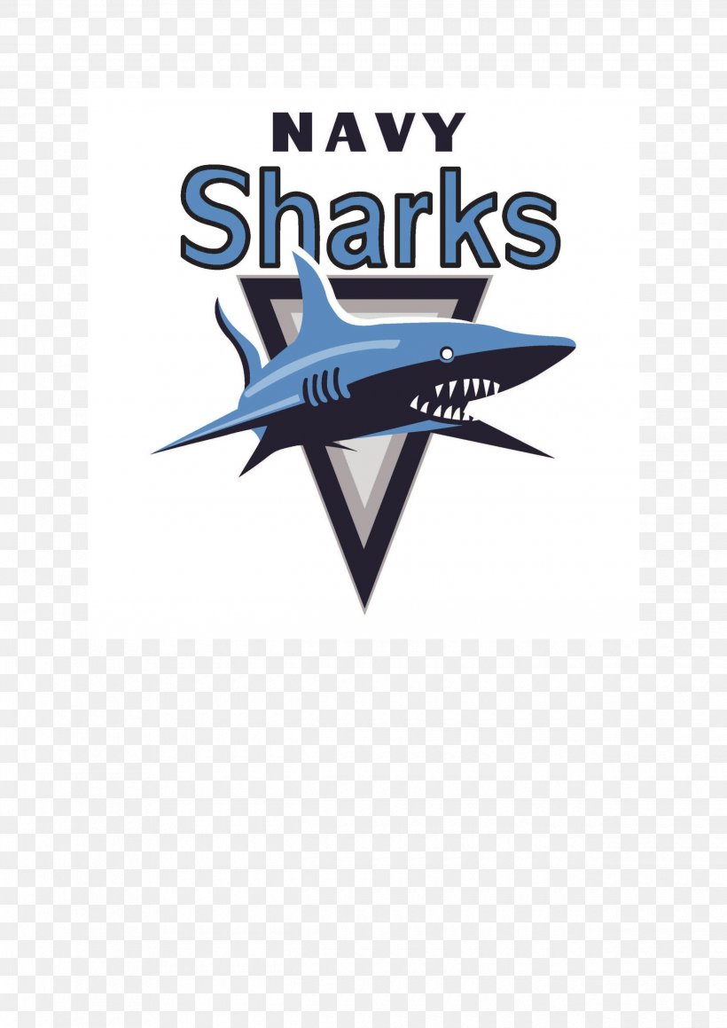 Sharks Logo Rugby Union Brand Sponsor, PNG, 2480x3508px, 7 Bamboos Rugby, Sharks, Bamboo, Brand, Logo Download Free