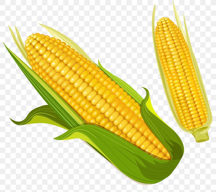 Corn On The Cob Maize Food Corn Kernel, PNG, 800x728px, Maize, Autodesk Maya, Commodity, Computer Software, Corn Kernels Download Free