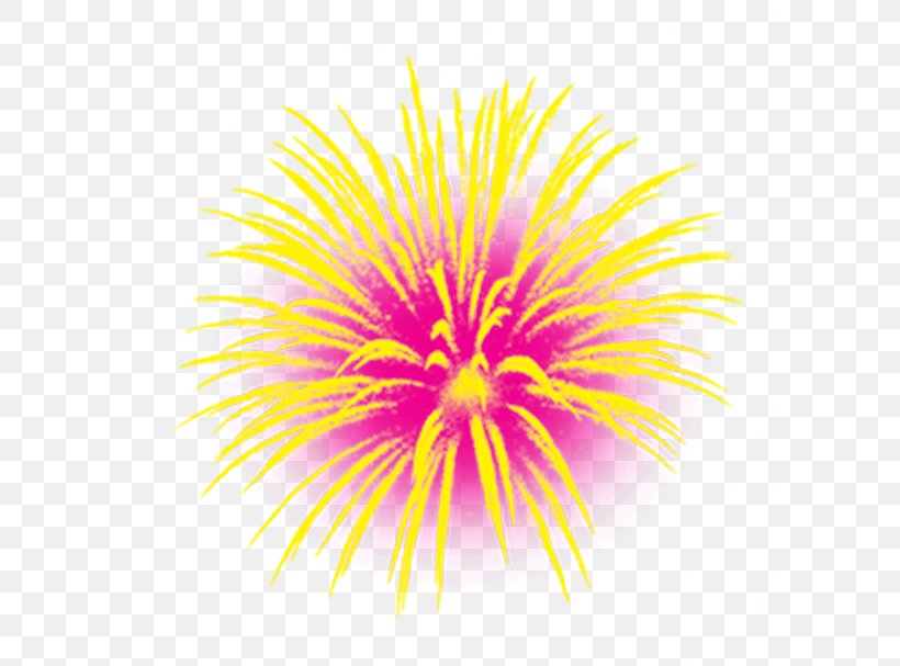 Fireworks Chinese New Year Traditional Chinese Holidays, PNG, 607x607px, Fireworks, Chinese New Year, Chrysanths, Close Up, Dahlia Download Free