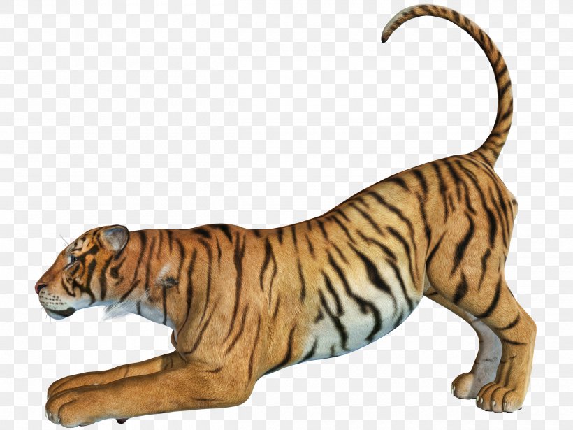 Bengal Tiger Tiger Hunting, PNG, 2500x1875px, Bengal Tiger, Animal, Animal Figure, Bengal, Big Cat Download Free