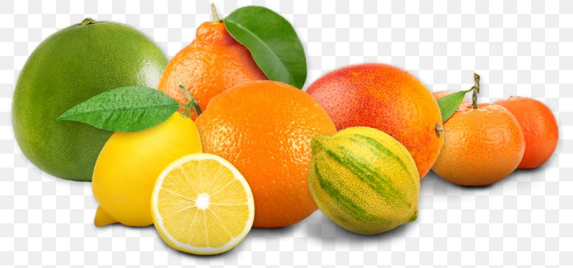 Clementine Limoneira Lemon Mandarin Orange Food, PNG, 800x384px, Clementine, Bitter Orange, Citric Acid, Citrus, Company Download Free