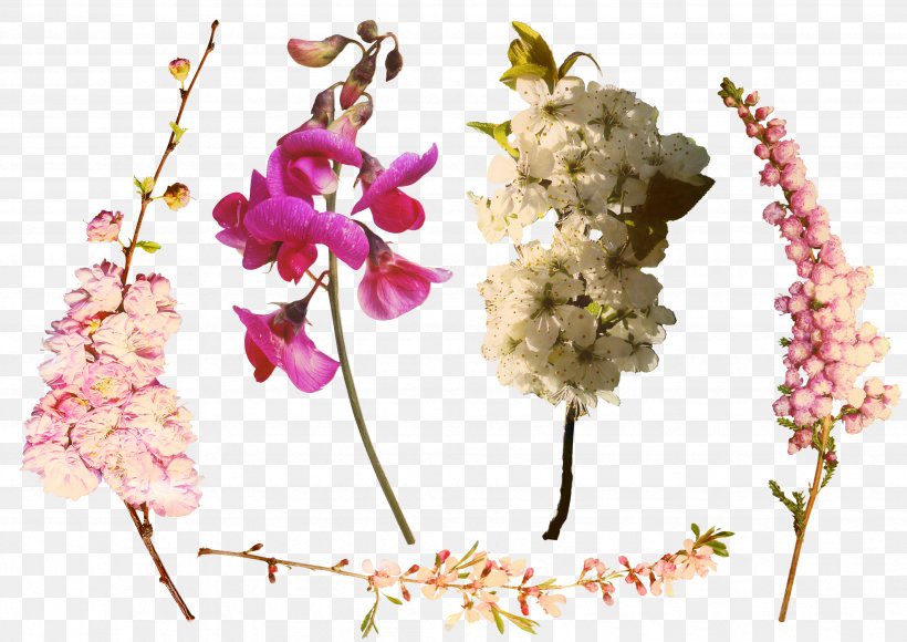 Family Tree Design, PNG, 3503x2480px, Branch, Adobe Photoshop Elements, Artificial Flower, Blossom, Cut Flowers Download Free