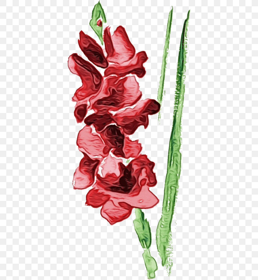 Flower Gladiolus Plant Cut Flowers Tulip, PNG, 392x892px, Drawing Flower, Anthurium, Cut Flowers, Floral Drawing, Flower Download Free