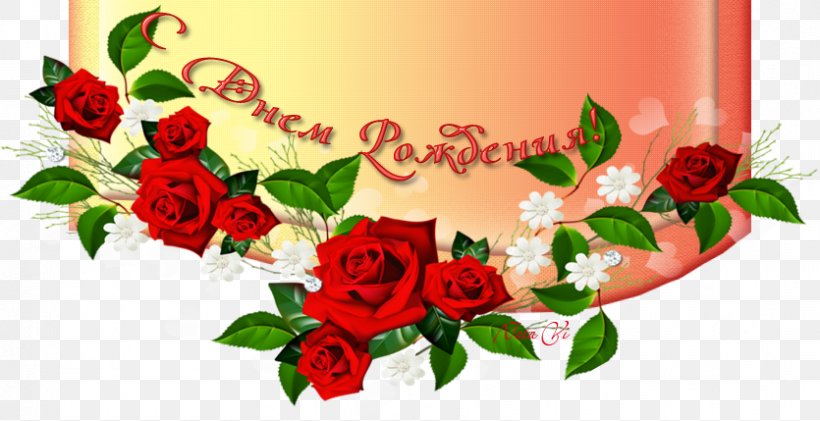 Garden Roses Postavskaya Tsentral'naya Rayonnaya Bol'nitsa Birthday Flower Bouquet Hospital, PNG, 835x429px, 2016, Garden Roses, Birthday, Cut Flowers, Daytime Download Free