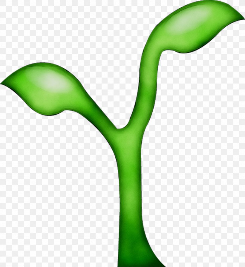 Green Leaf Plant Stem Clip Art Product Design, PNG, 1044x1140px, Green, Botany, Branching, Leaf, Plant Download Free