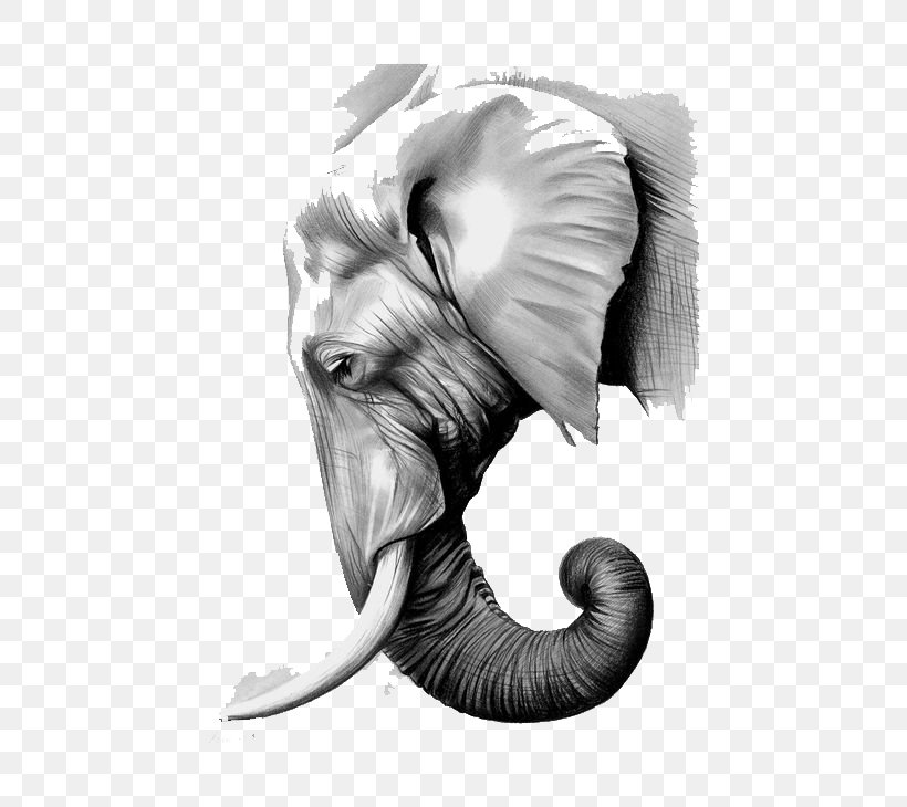 The Elephants Paper Asian Elephant Graphite, PNG, 564x730px, Elephants, African Elephant, Animal, Art, Asian Elephant Download Free