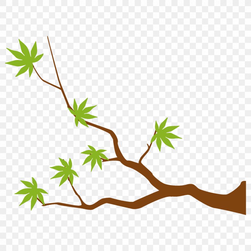 Maple Branch Maple Leaves Maple Tree, PNG, 1200x1200px, Maple Branch, American Larch, Branch, Leaf, Maple Leaves Download Free