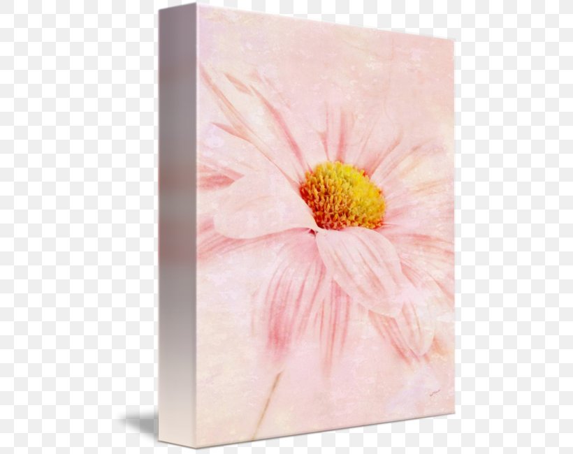 Transvaal Daisy Acrylic Paint Still Life Photography Floral Design, PNG, 494x650px, Transvaal Daisy, Acrylic Paint, Acrylic Resin, Daisy Family, Floral Design Download Free