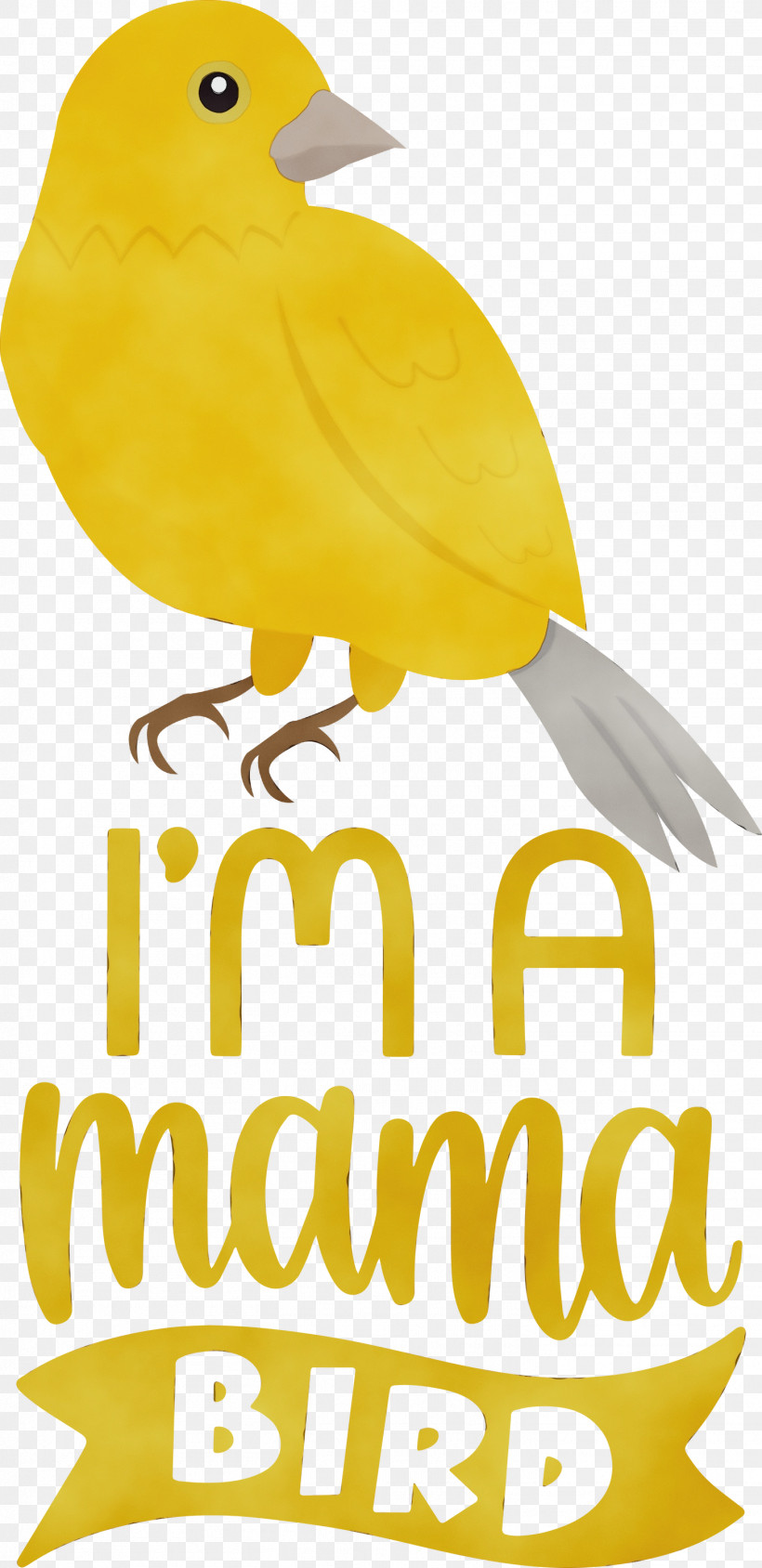 Birds Beak Meter Yellow, PNG, 1457x3000px, Mama Bird, Beak, Bird, Birds, Meter Download Free