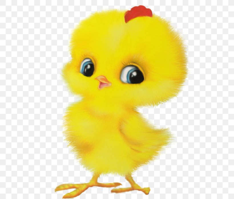 Chicken Rooster Bird Child Duck, PNG, 540x699px, Chicken, Beak, Bird, Cartoon, Child Download Free