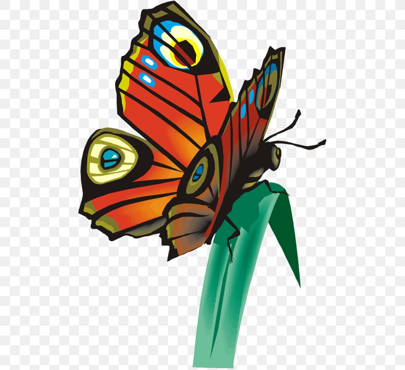 Monarch Butterfly Brush-footed Butterflies Tiger Milkweed Butterflies Clip Art, PNG, 507x750px, Monarch Butterfly, Arthropod, Brush Footed Butterfly, Brushfooted Butterflies, Butterfly Download Free