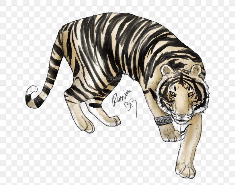 Tiger Big Cat Bad Blood Wildlife, PNG, 648x648px, Tiger, Animal, Bad Blood, Big Cat, Big Cats Download Free