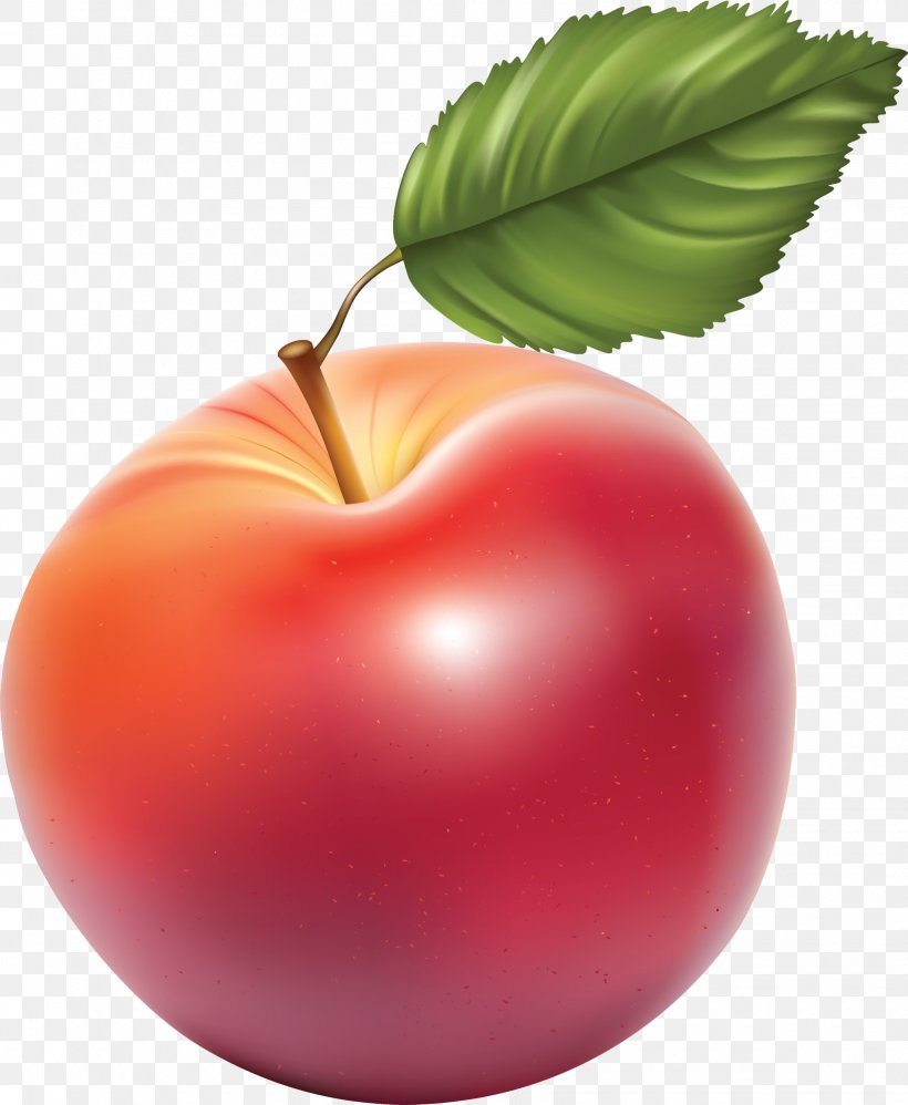 Apple Fruit Clip Art, PNG, 1635x1990px, Apple, Apple A Day Keeps The Doctor Away, Apples, Diet Food, Food Download Free
