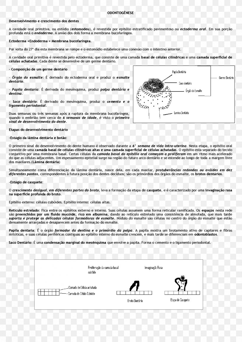 Document Line Angle, PNG, 1654x2339px, Document, Area, Black And White, Diagram, Paper Download Free