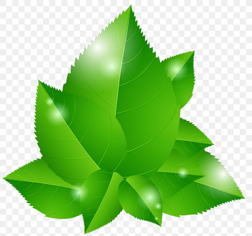 Green Euclidean Vector Leaf Blue Illustration, PNG, 1138x1068px, Leaf, Green, Tree Download Free