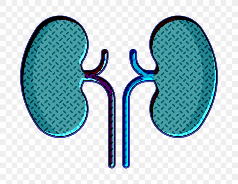 Medical Icon Kidney Icon, PNG, 1244x962px, Medical Icon, Computer, Gender Symbol, Icon Design, Kidney Icon Download Free