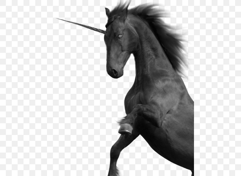 Mustang Unicorn Black And White, PNG, 500x600px, Mustang, Bit, Black And White, Bridle, Deviantart Download Free