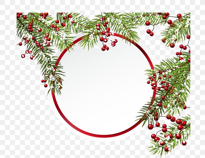 Christmas Day Christmas Ornament Christmas In Pink Fir Vector Graphics, PNG, 800x632px, Christmas Day, Aquifoliaceae, Branch, Christmas, Christmas Decoration Download Free