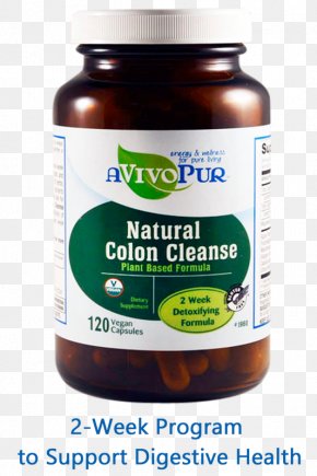 Colon Day - Dietary Supplement Weight Loss Obesity Overweight PNG