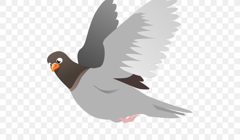 Dove Bird, PNG, 640x480px, Pigeons And Doves, Beak, Bird, Flight, Rock Dove Download Free