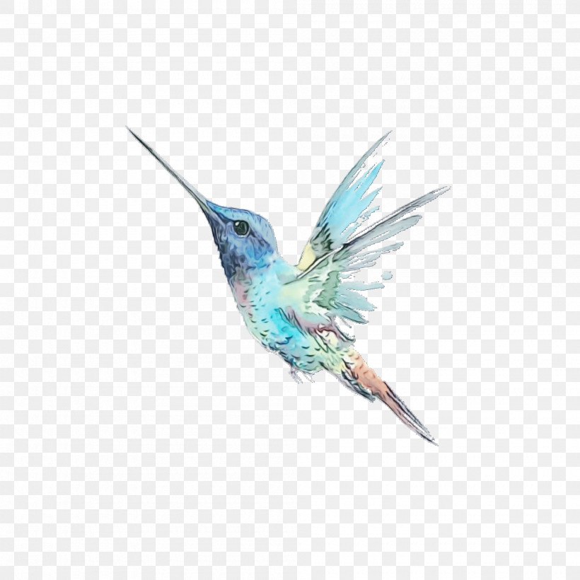 Feather, PNG, 2000x2000px, Watercolor, Beak, Feather, Hummingbirds, Paint Download Free