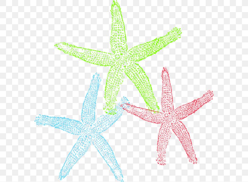 Free Content Starfish Royalty-free Clip Art, PNG, 594x601px, Free Content, Blog, Echinoderm, Invertebrate, Marine Invertebrates Download Free