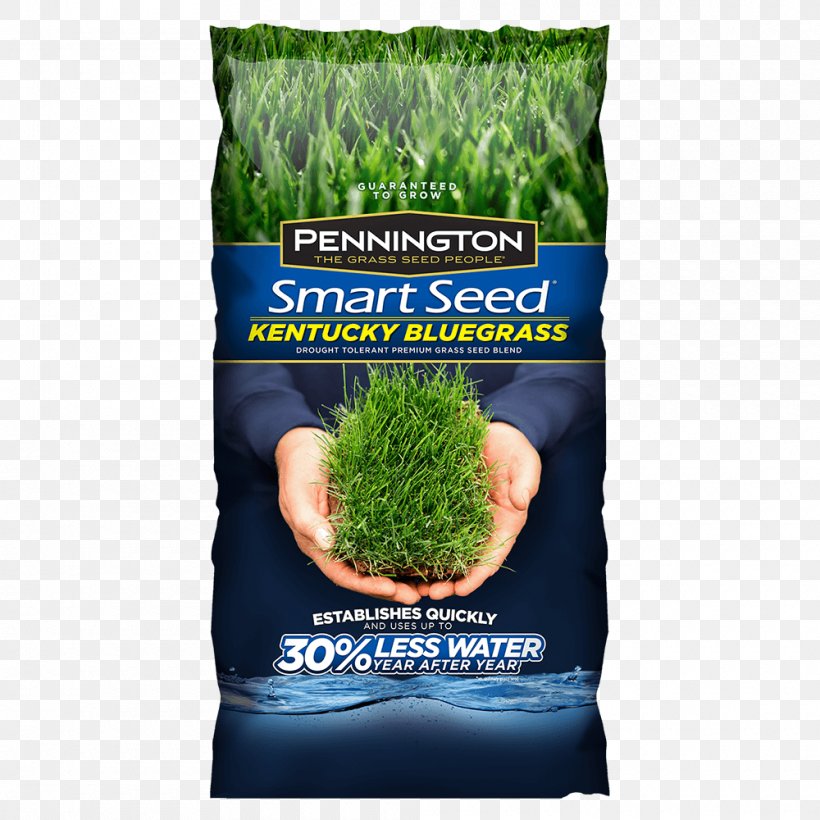 Lawn Seed Kentucky Bluegrass Perennial Ryegrass Fescues, PNG, 1000x1000px, Lawn, Commodity, Fescues, Garden, Germination Download Free