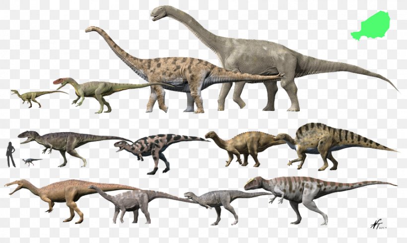 Suchomimus Tyrannosaurus Ouranosaurus Diplodocus Edmontosaurus, PNG, 896x537px, Suchomimus, Animal Figure, Canvas Print, Digital Art, Dinosaur Download Free